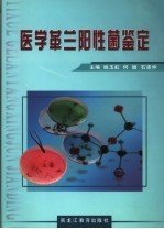 医学革兰阳性菌鉴定
