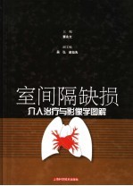 室间隔缺损介入治疗与影像学图解