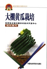大棚黄瓜栽培