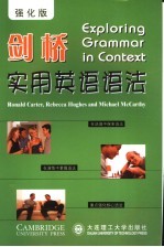 剑桥英语语法 强化版
