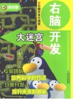 右脑开发大迷宫 绿色卷