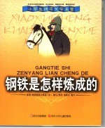 钢铁是怎样炼成的
