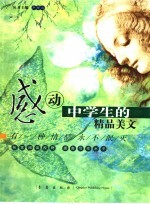 有一种情感永不泯灭