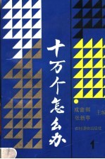 十万个怎么办 1