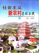 社会主义新农村建设实践 下