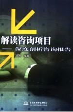 解读咨询项目 深度剖析咨询报告