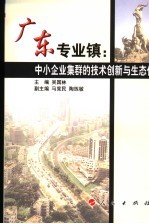 广东专业镇 中小企业集群的技术创新与生态化