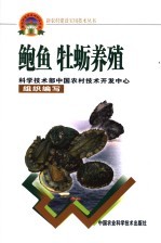 鲍鱼 牡蛎养殖