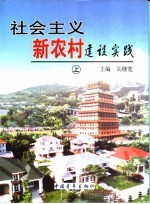 社会主义新农村建设实践 上