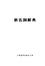 新名词辞典