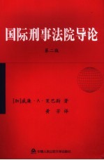 国际刑事法院导论