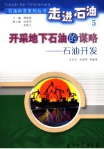 开采地下石油的谋略 石油开发