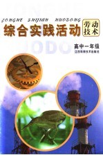 综合实践活动 劳动技术 高中一年级