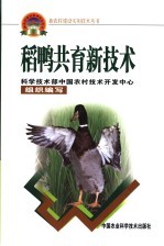 稻鸭共育新技术