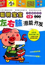 聪明宝宝左右脑潜能开发 5岁