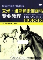 艾米·维斯勒素描画马专业教程