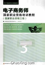 电子商务师国家职业资格培训教程 国家职业资格三级 2014版