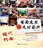 墙面造型及选材图典 现代时尚