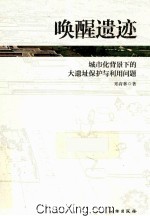 唤醒遗迹 城市化背景下的大遗址保护与利用问题研究
