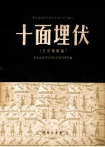 十面埋伏 琵琶独奏曲
