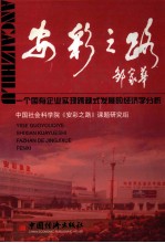安彩之路 一个国有企业实现跨越式发展的经济学分析