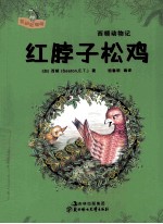 西顿动物记 红脖子松鸡