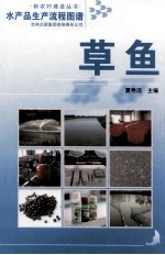 水产品生产流程图谱 草鱼