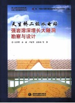 天生桥二级水电站强岩溶深埋长大隧洞勘察与设计