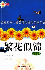 繁花似锦 全国优秀儿童文学奖获奖作家作品 小说卷 2