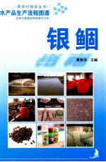水产品生产流程图谱 银鲴