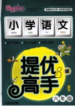 锦囊妙解小学生系列 小学语文提优高手 六年级