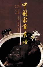 中国家常菜谱 中文版