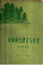 母树林的建立与经营