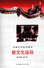 中国文化知识读本 新文化运动