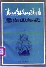 云南回族史