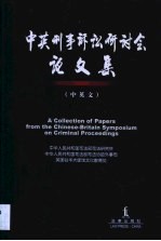 中英刑事诉讼研讨会论文集 中英文
