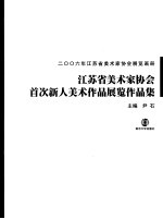 2006年江苏省美术家协会展览画册 江苏省美术家协会首次新人美术作品展览作品集