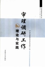 审理调研工作理论与实践