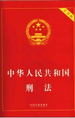 中华人民共和国刑法 实用版