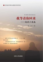 我等着你回来 赵欣小说选