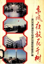 东风夜放花千树 黄石市黄石港地区文明单位创建经验及事迹汇编