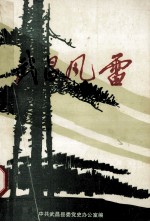 武昌风雷 1