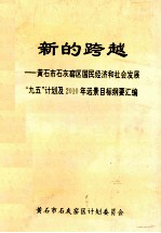 新的跨越 黄石市石灰窟区国民经济和社会发展“九五”计划及2010年远景目标纲要汇编