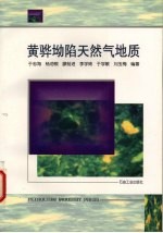 黄骅坳陷天然气地质