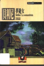 贝利尼:梦游女