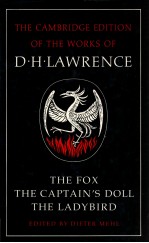 THE FOX THE CAPTAIN'S DOLL THE LADYBIRD