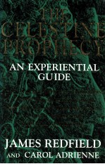 THE CELESTINE PROPHECY AN EXPERIENTIAL GUIDE
