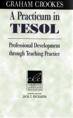 A PRACTICUM IN TESOL