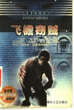 飞檐窃贼 传奇纪实文学