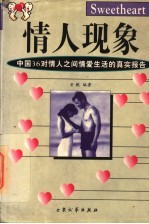 情人现象 中国36对情人之间情爱生活的真实报告